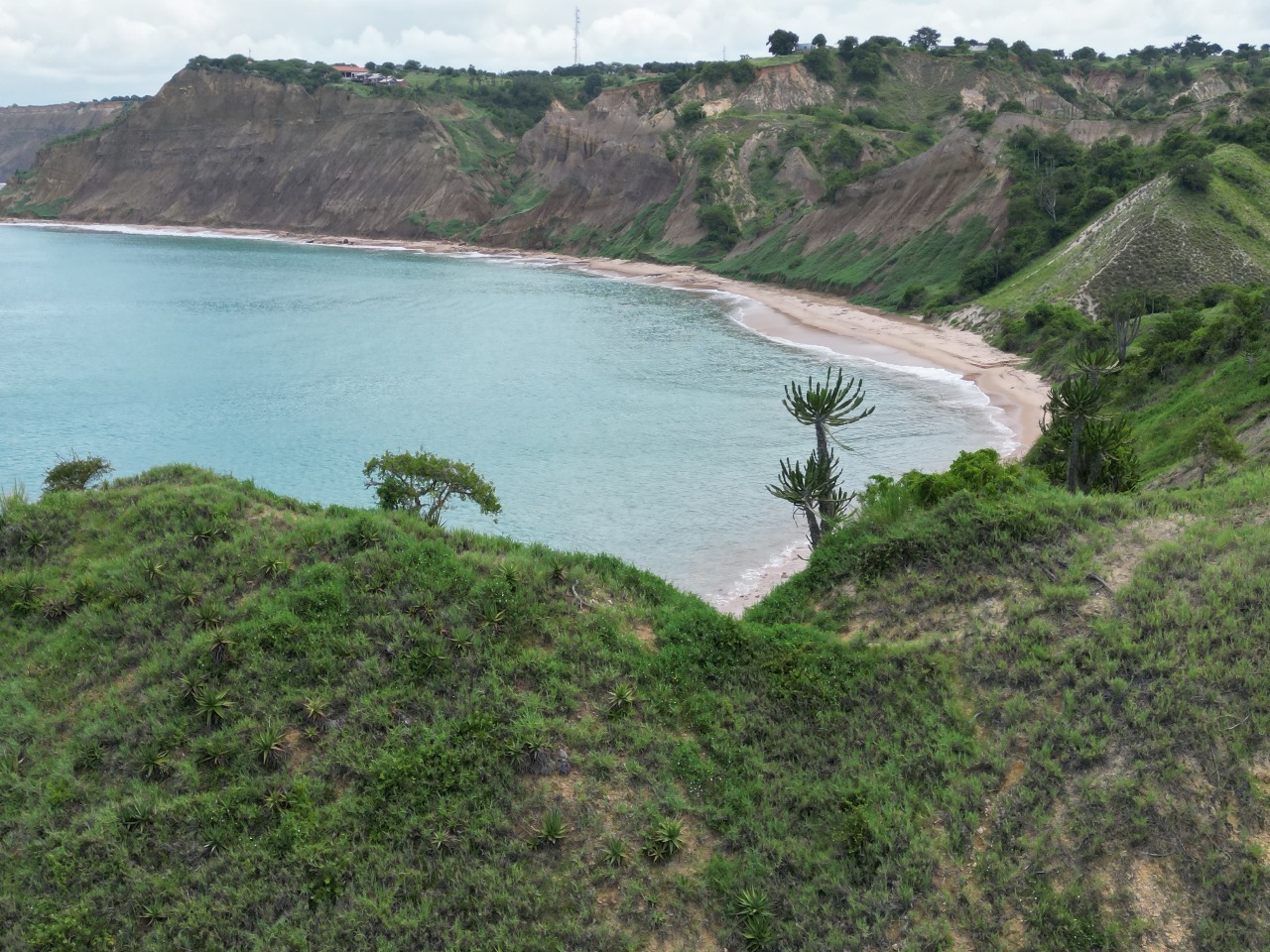 Cenário de praia com colinas verdes e falésias de Cabo Ledo